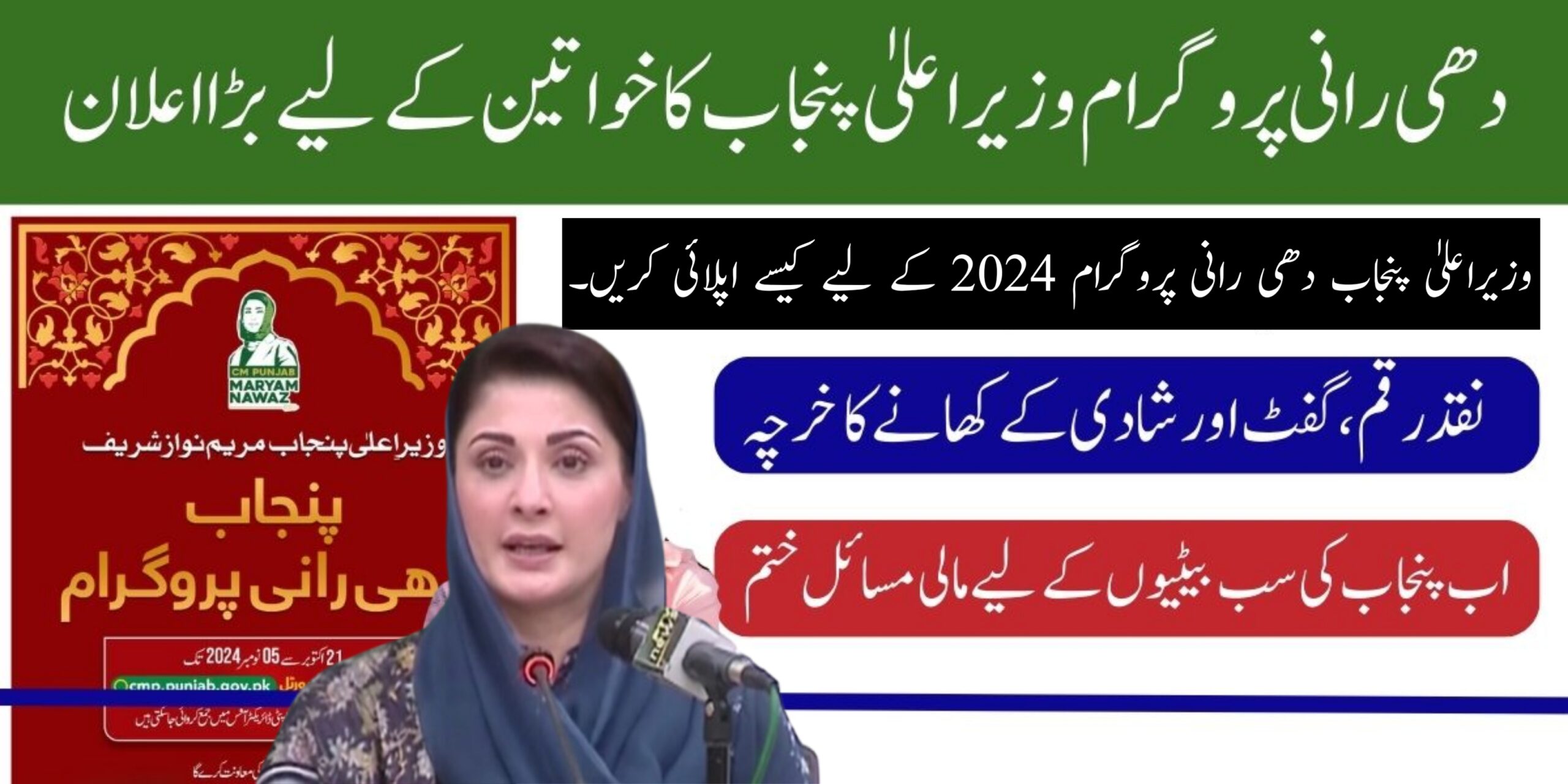 How to Apply for CM Punjab Dhee Rani Program 2024